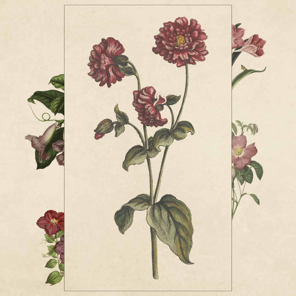 Utmost Random Thoughts